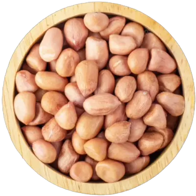 GroundNut